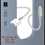 Cáp chuyển Type c ra mag2 65w