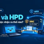 DDC và HPD là gì trong quá trình nguồn HDMI nhận màn hình